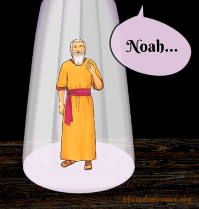Spotlight on Noah